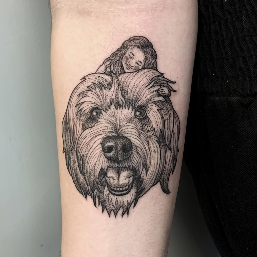 Animal, 곰, 코알라