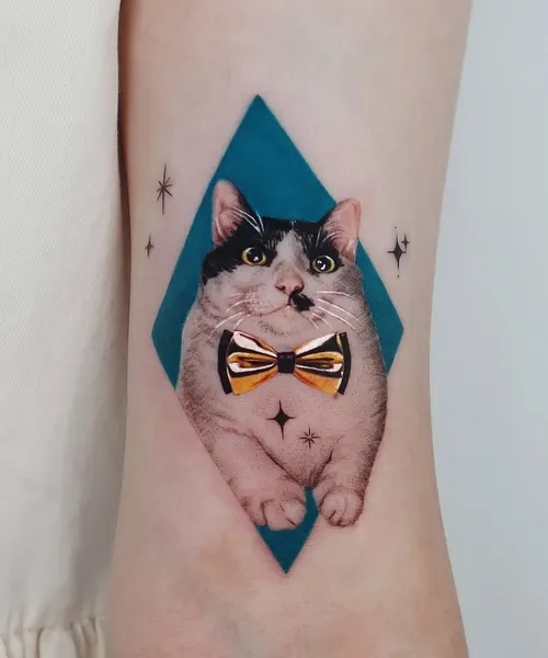 고양이