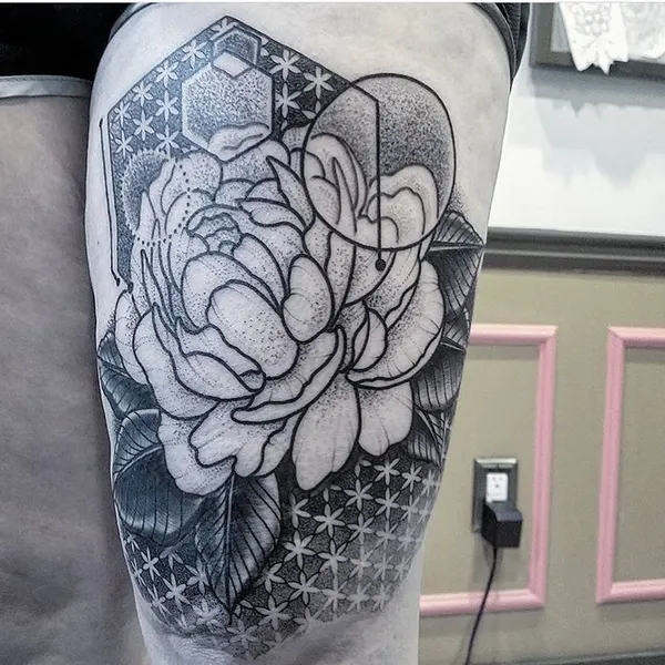 Flower, Rose