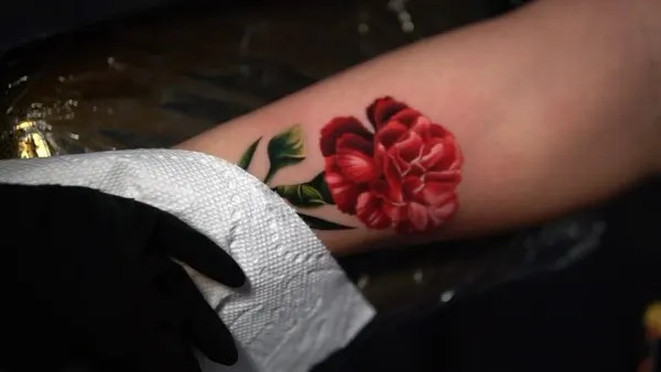 Flower, Rose