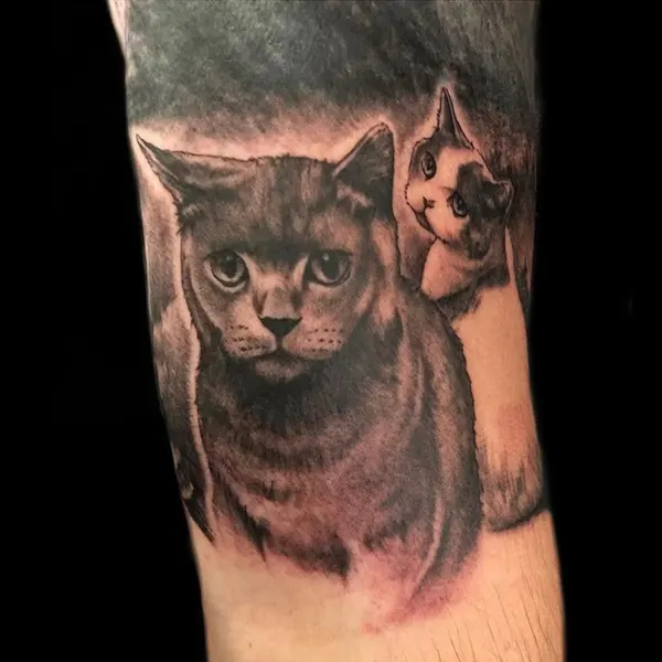 Animal