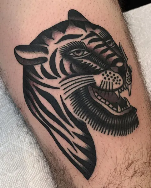 Tiger, Animal