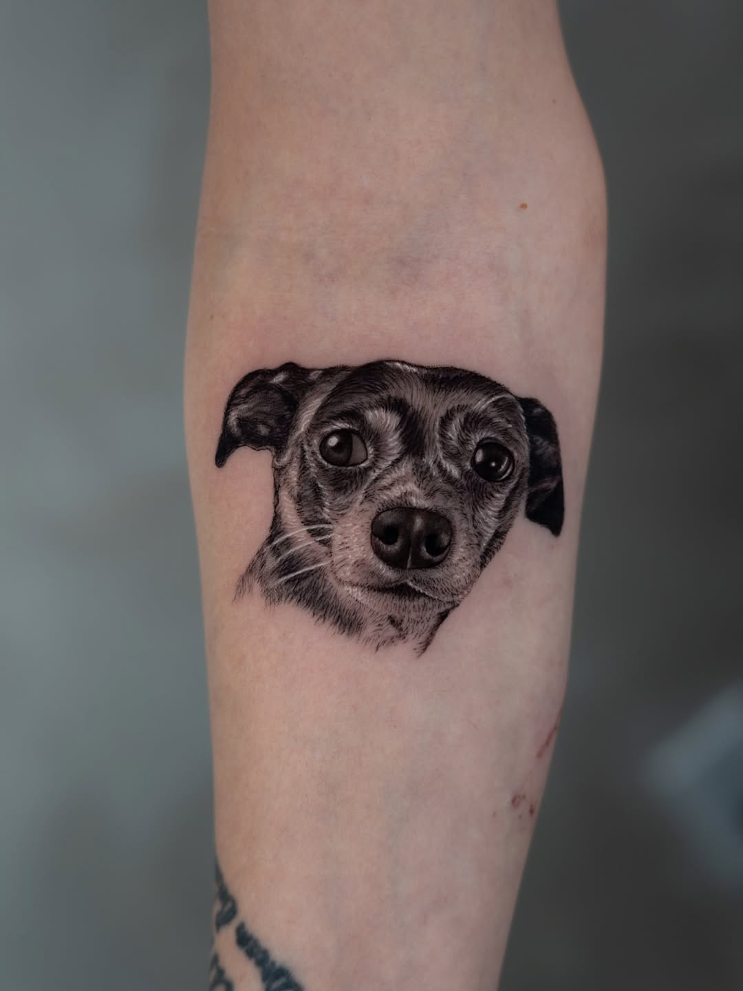 lewis.tattoo