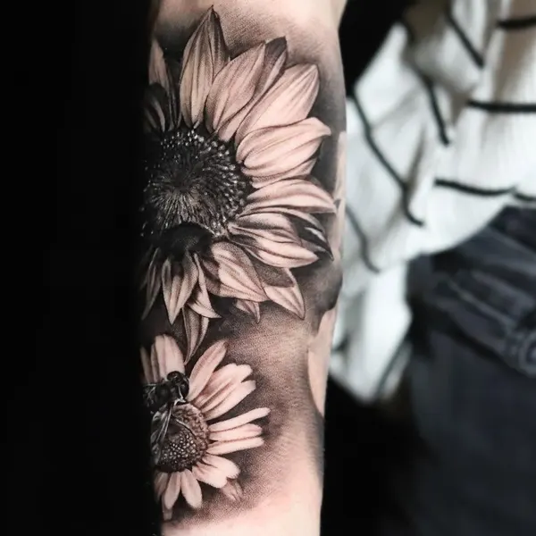 Flower, 국화, 데이지