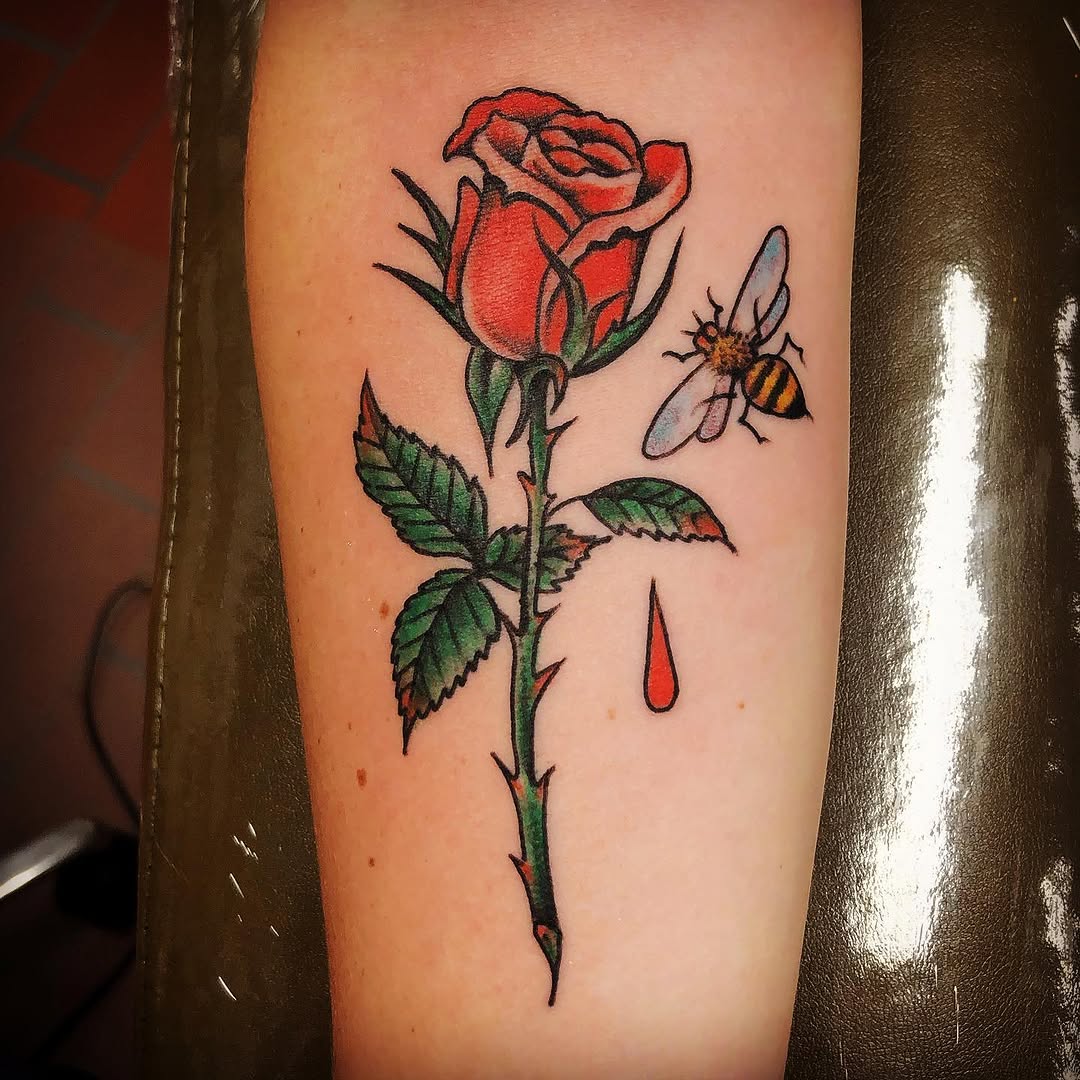 Flower, Rose, Nature