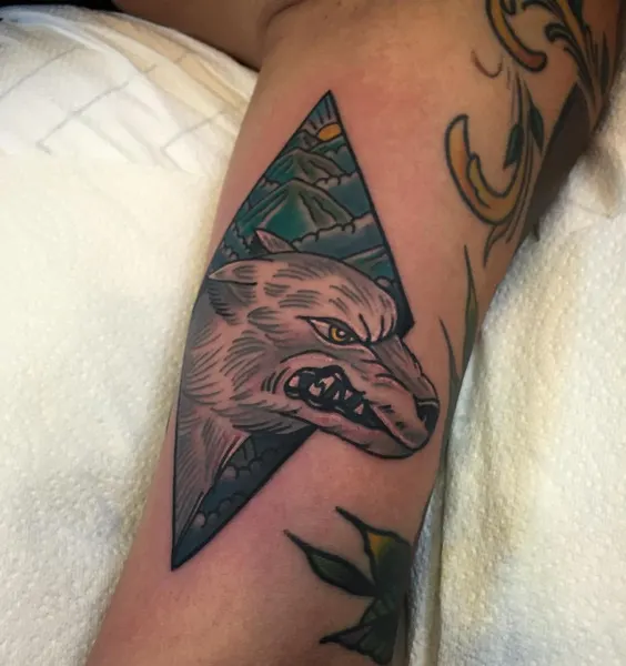 Tiger, Animal