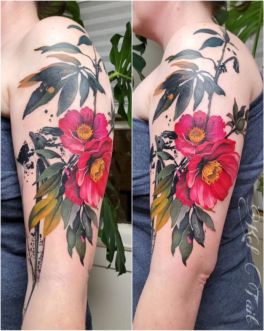 Flower, Rose