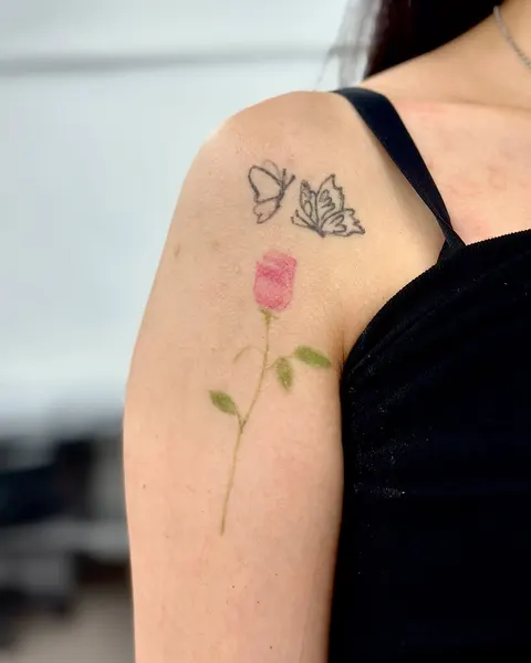 Flower, Rose