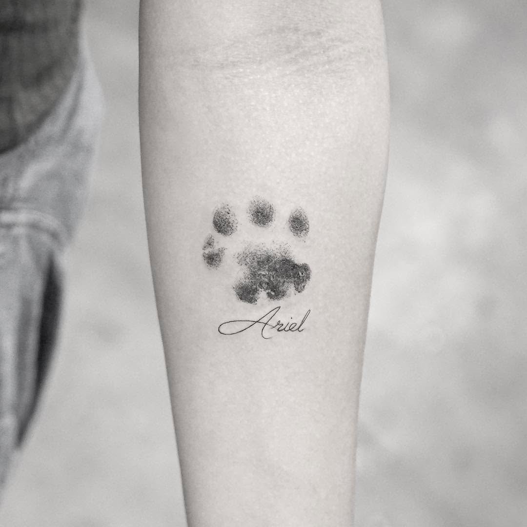 Animal, 발자국