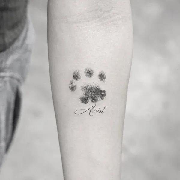 Animal, 발자국