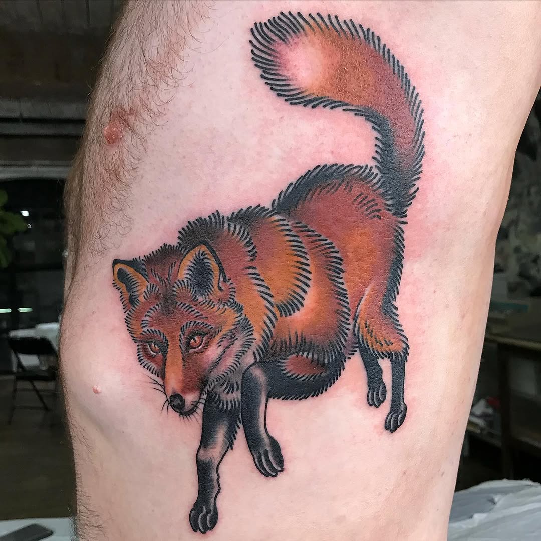 Animal, 여우, 너구리, 다람쥐