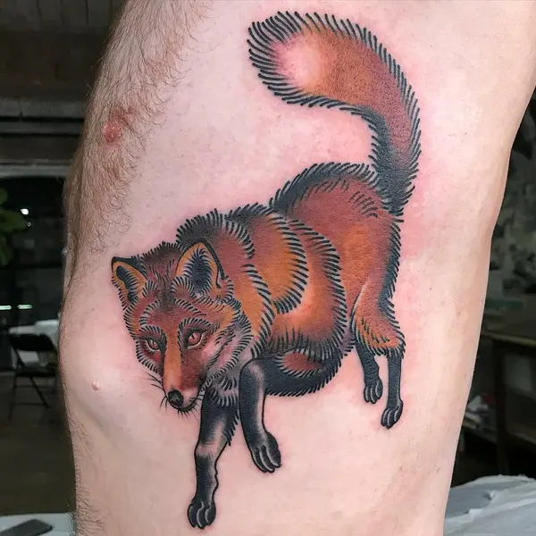 Animal, 여우, 너구리, 다람쥐