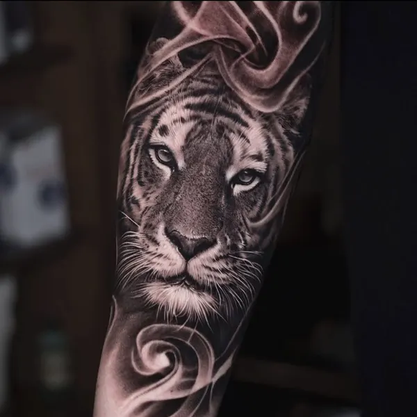 Tiger, 사자자리