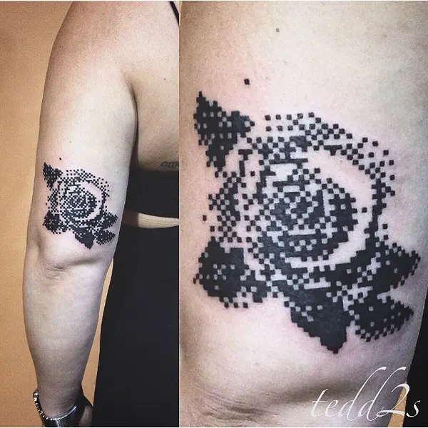 Flower, Rose
