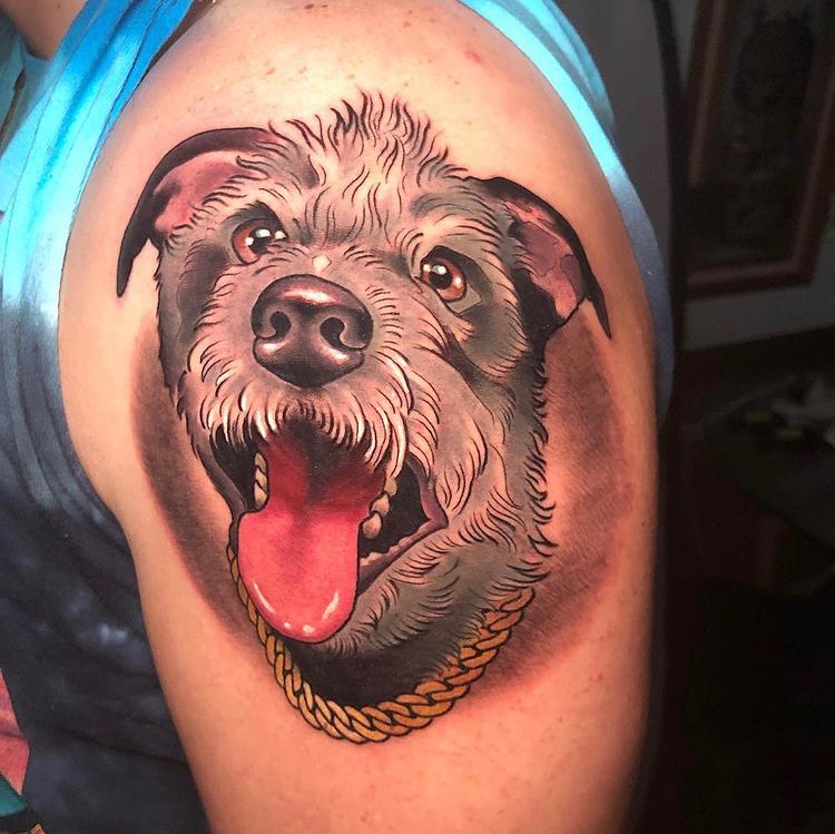 Animal