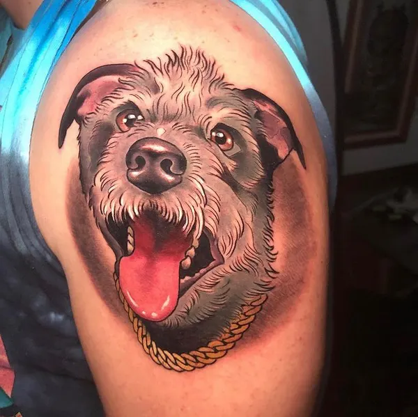 Animal