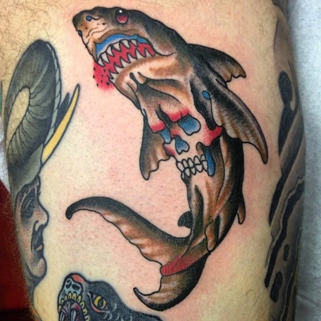 Animal, 상어
