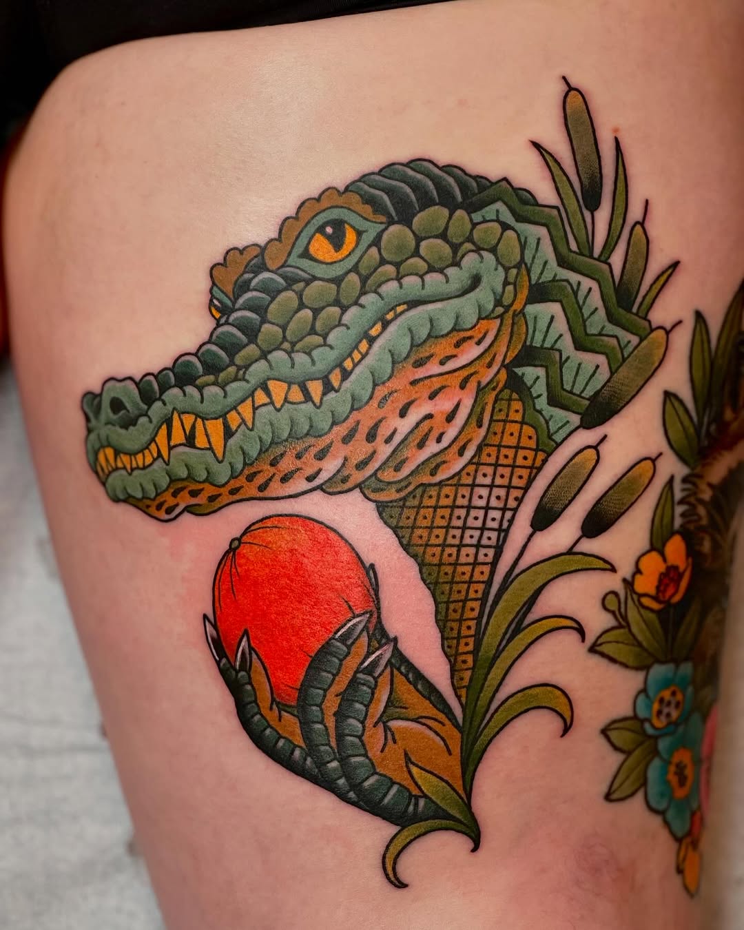 Dragon, 악어