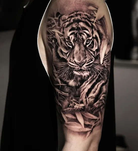 Tiger, 중국 호랑이