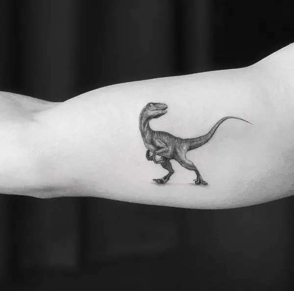 Dragon, 악어, 도마뱀, 함사