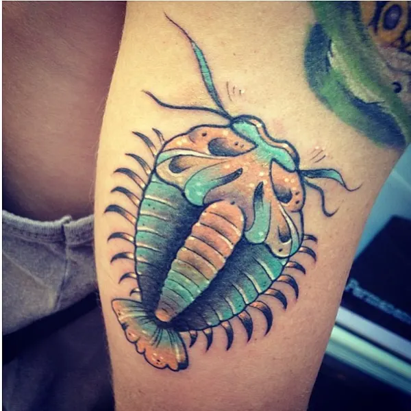 Dragon, 랍스터