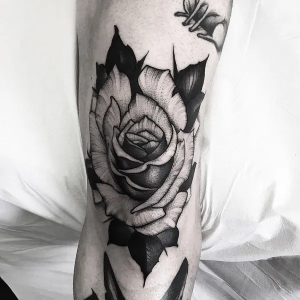 Flower, Rose
