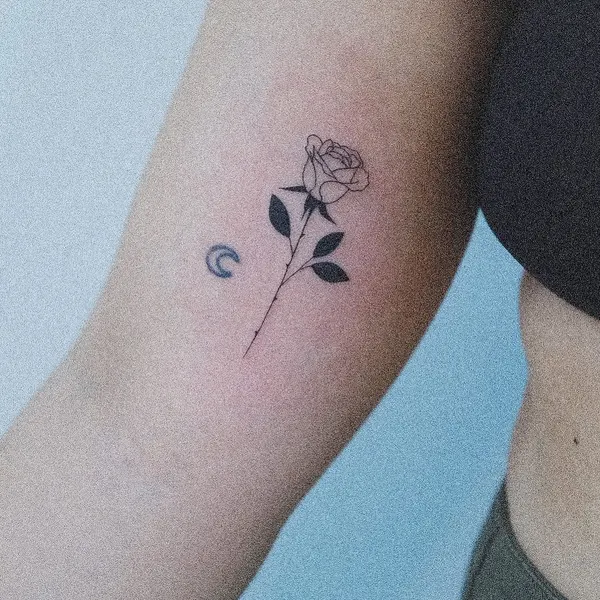 Flower, Rose