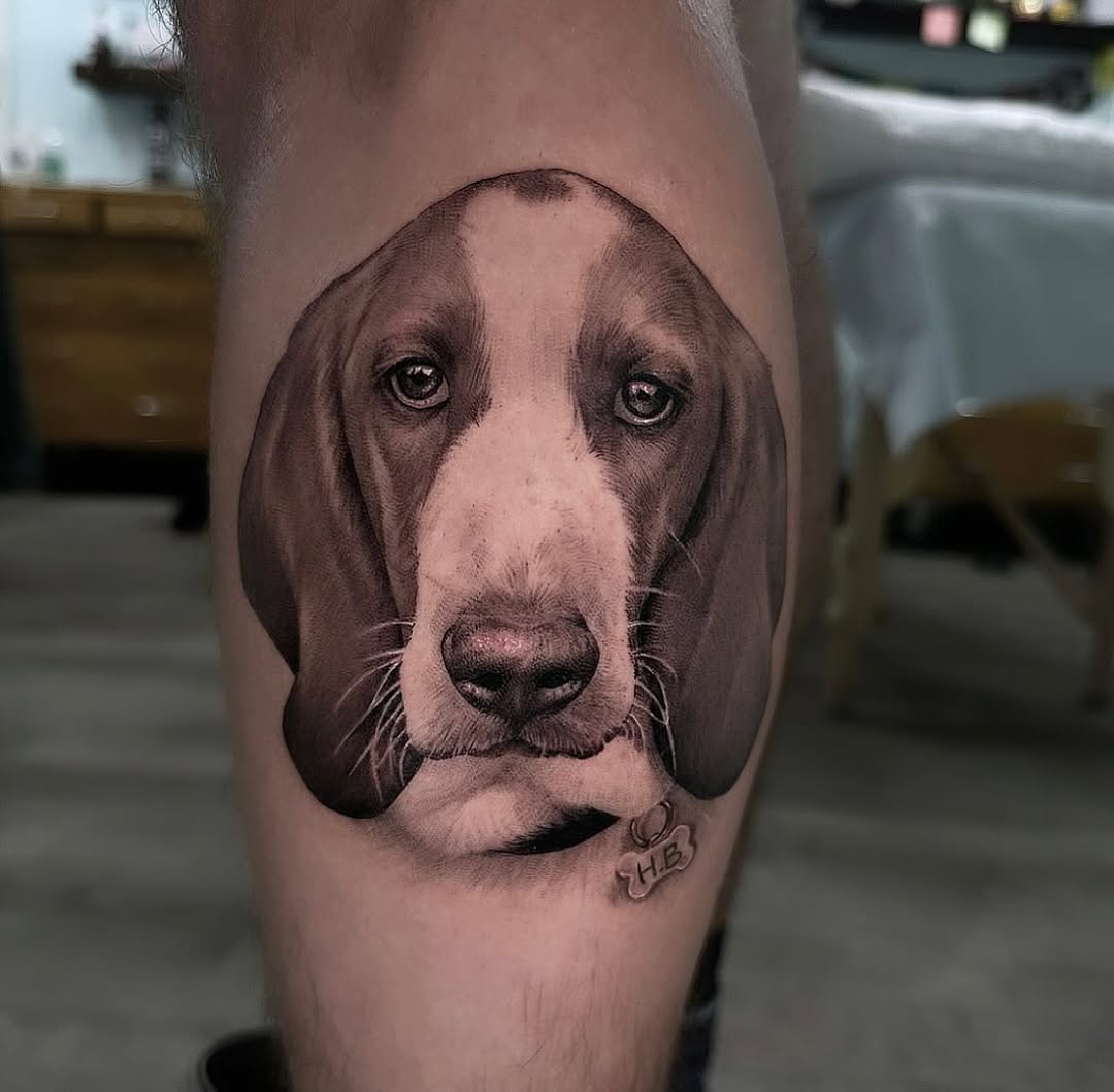 Animal