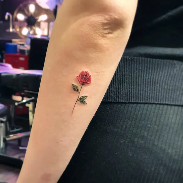 Rose, Flower, 양귀비