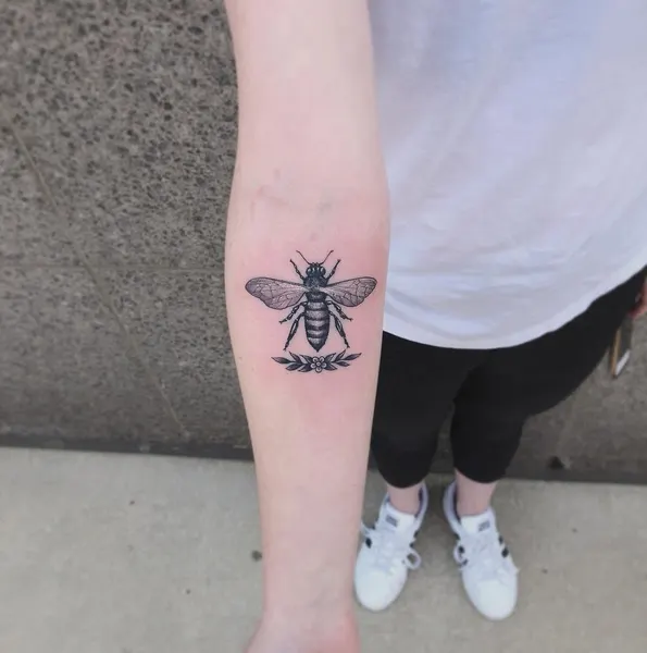 Animal, 벌