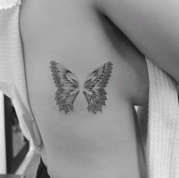 Animal, Nature, 천사, 천사 날개