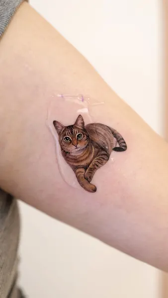여우 가면, 고양이