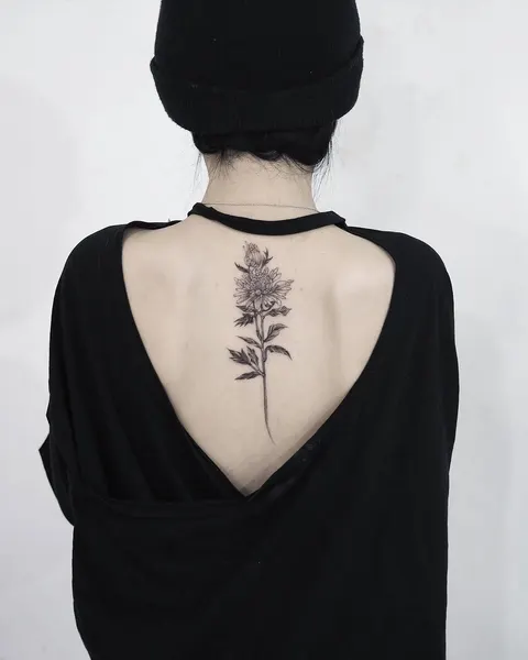 Flower, Rose, 잎, 고사리, 은행잎, 탄생화, 수국, 허브, 라벤더