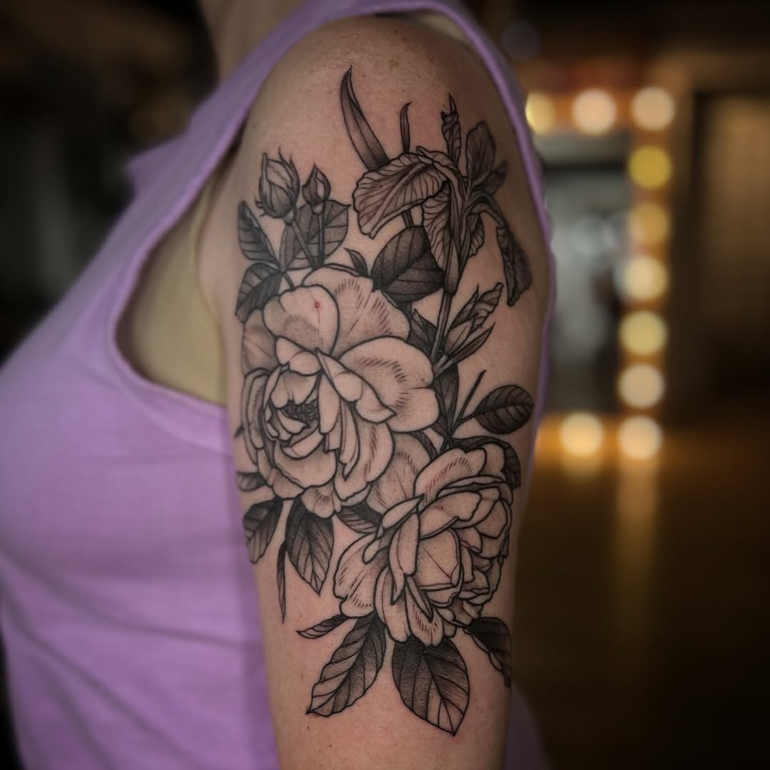Flower, Rose, Nature