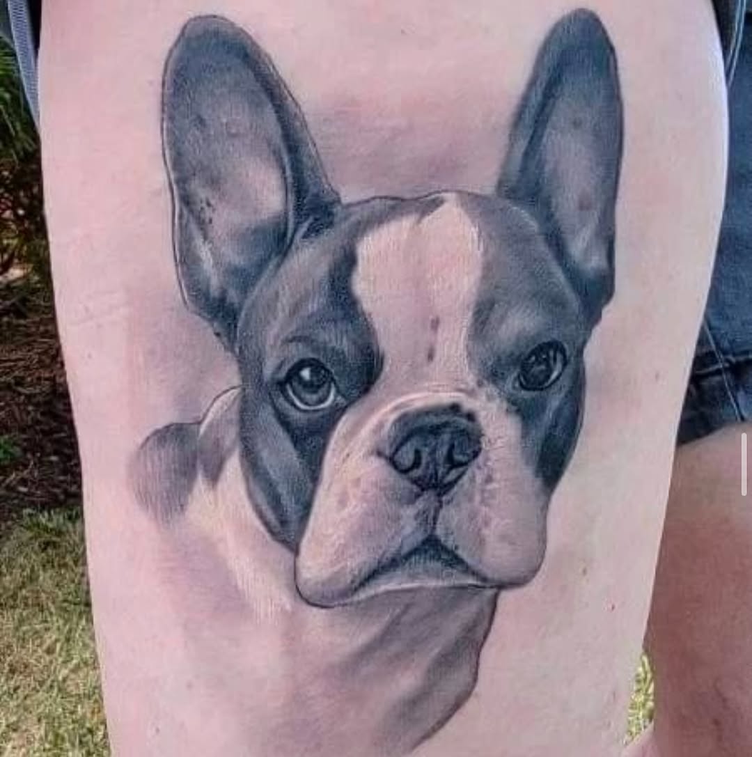 Animal