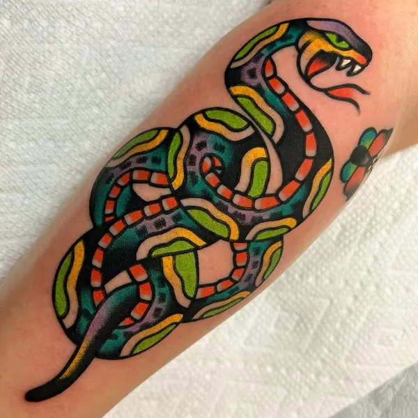 Dragon, Snake