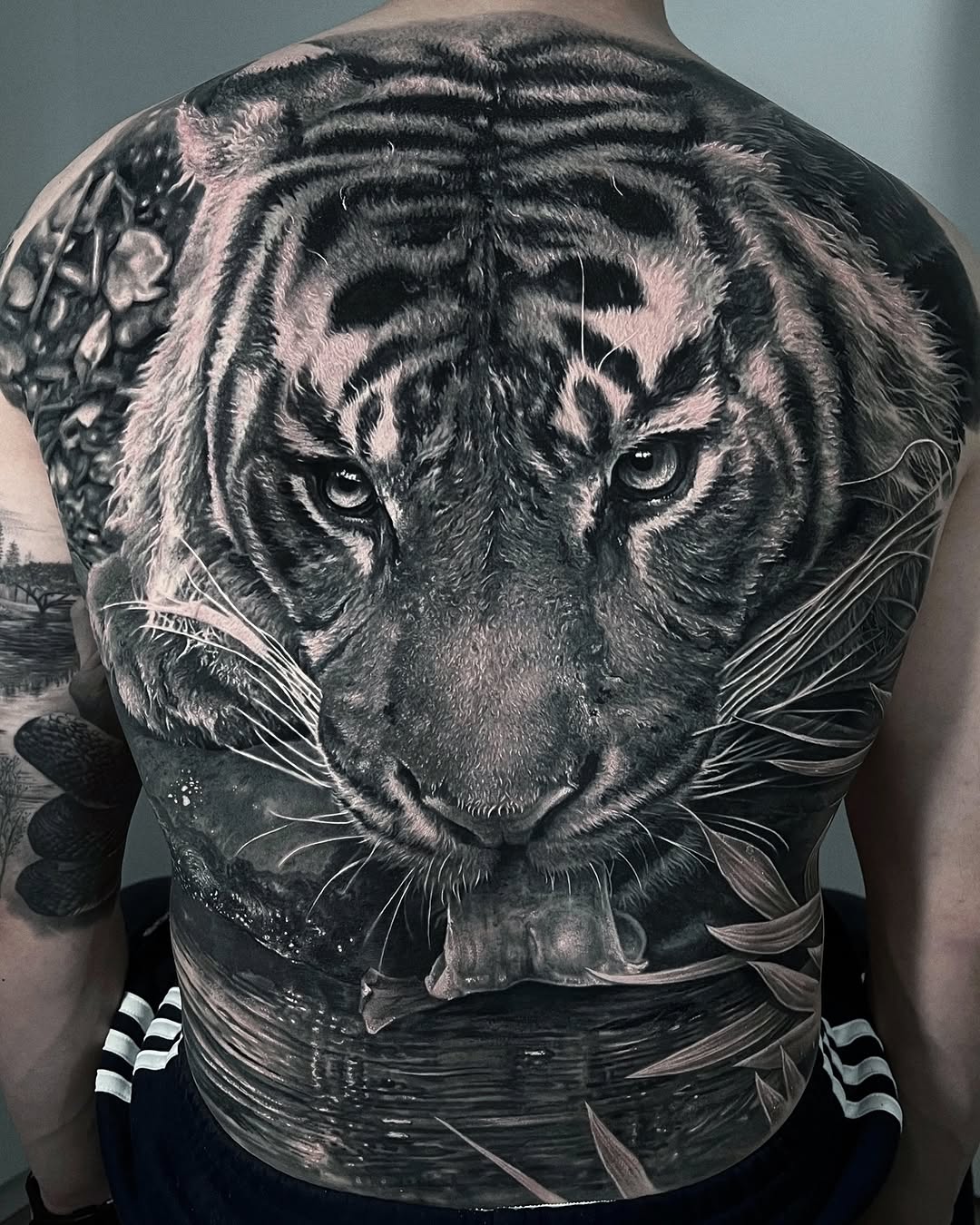 Tiger, 중국 호랑이