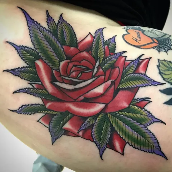 Flower, Rose