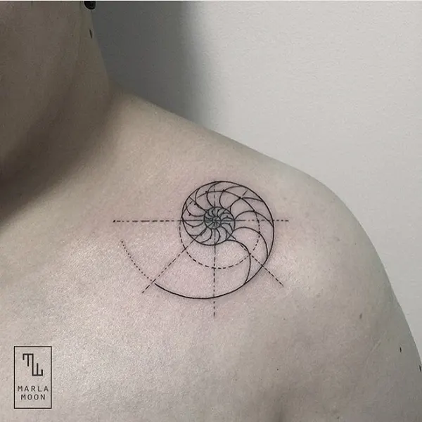 원, 나선, 나침반, 별자리, 신성 기하학
