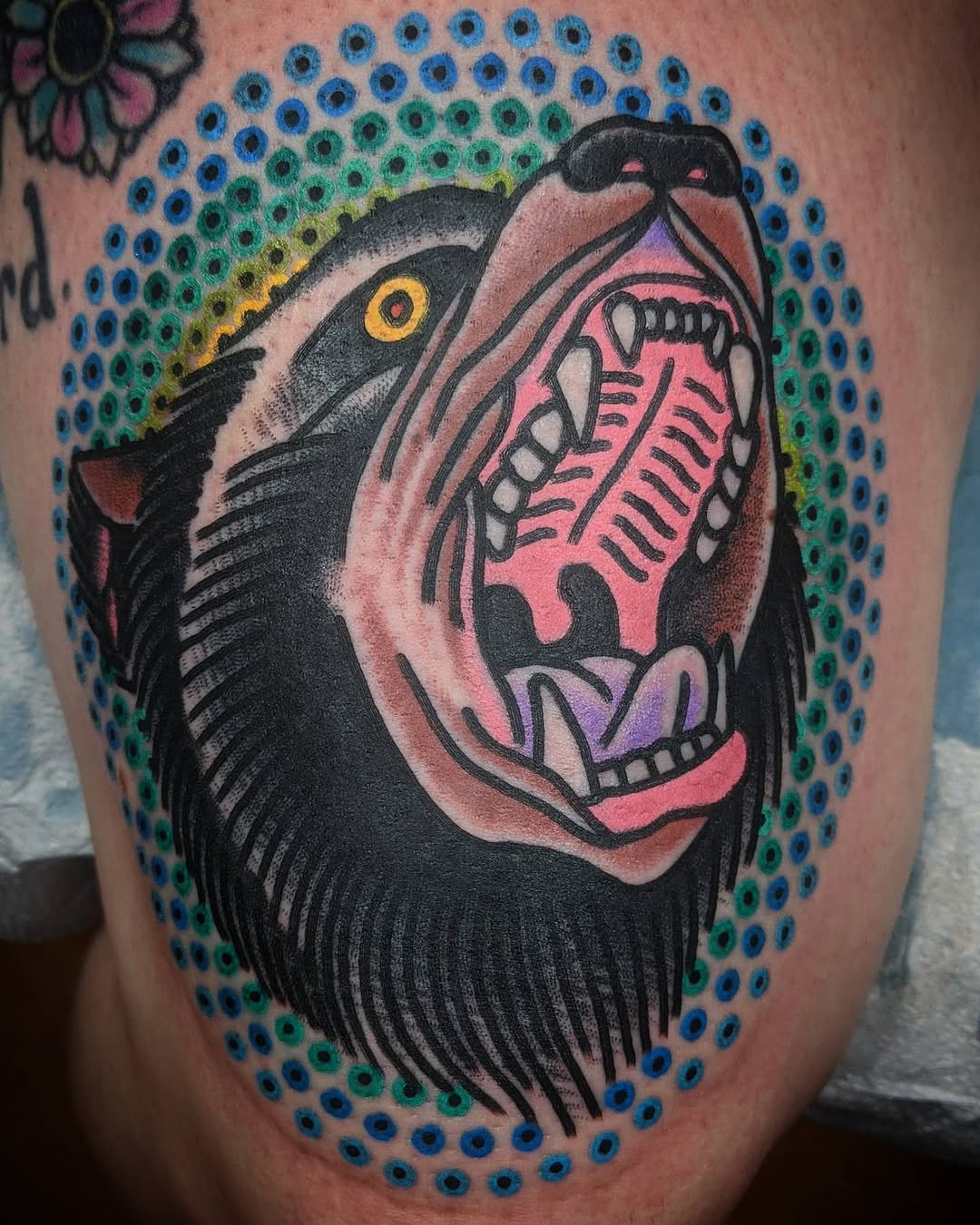 Tiger, Animal