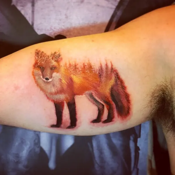 Animal, 여우