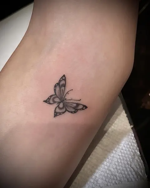 Nature, Animal