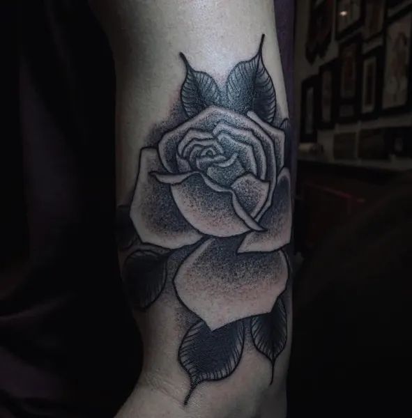 Rose, Flower