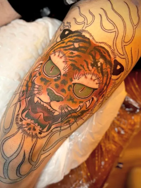 Tiger, Animal