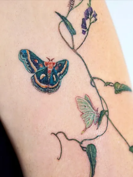 Flower, Animal, Rose, Nature