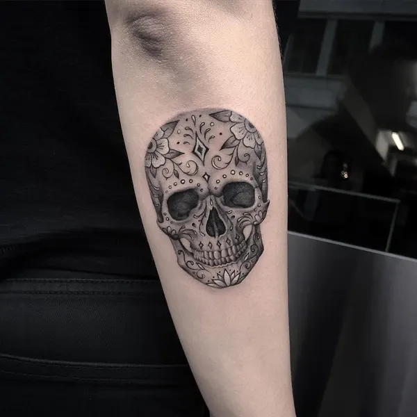 뼈, Skull