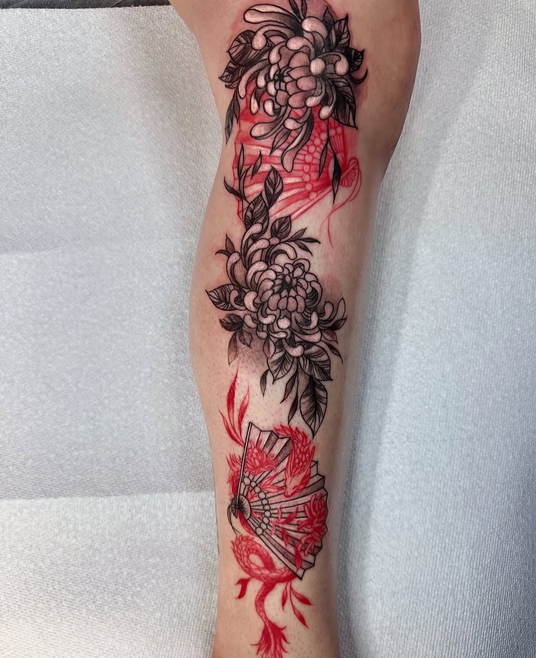 Flower, Rose, 일본 단풍