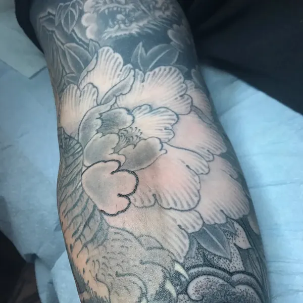 Flower, Rose