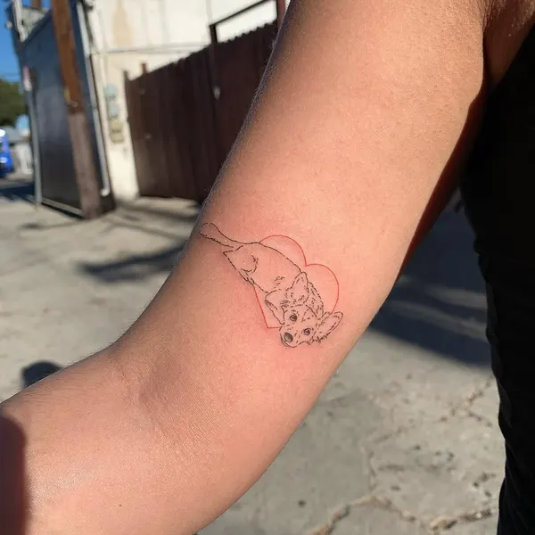 회복력, 그래픽, 테두리, 쌍둥이자리, 기념 타투