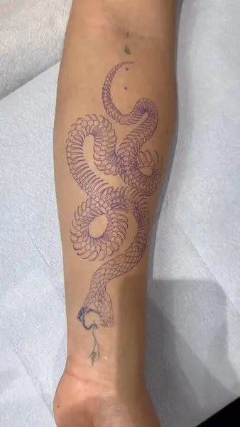 Dragon, 전갈, Snake